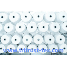 (60s / 2) fil de couture de polyester